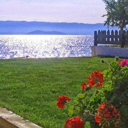 Finata Studios (Adults Only) Kavos Bagian luar foto